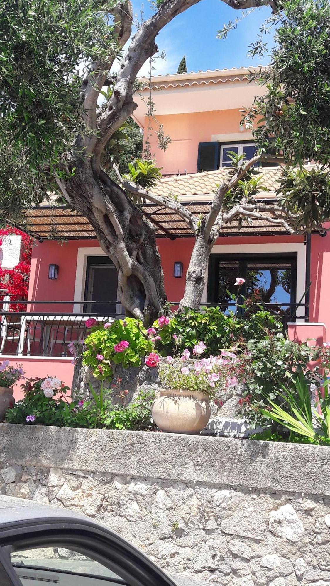 Apartment Rapanos Paleokastritsa